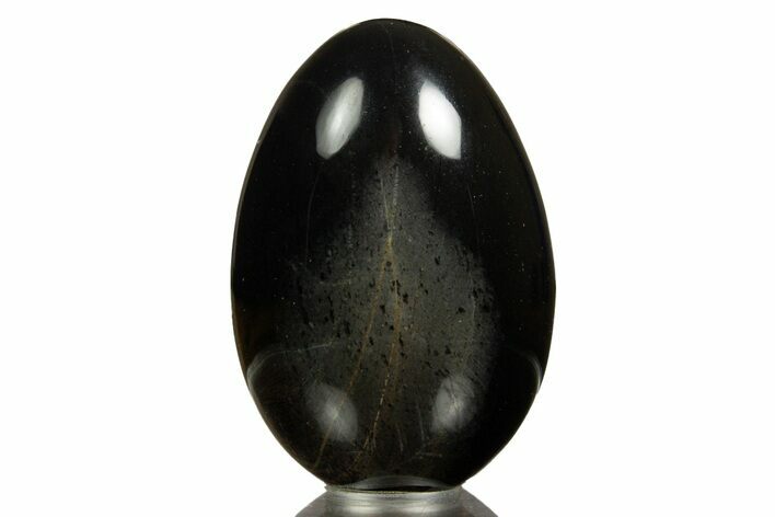 Black Petrified Palmwood (Palmoxylon) Egg - California #309052